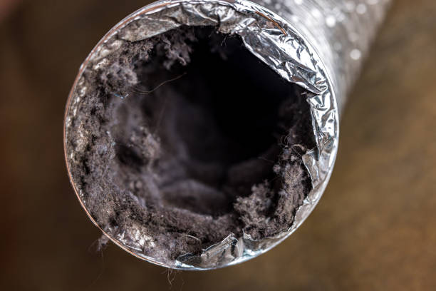 Best Home Air Vent Cleaning  in Eming Island, FL