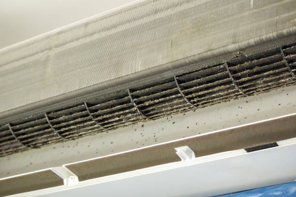 Best HVAC Air Duct Cleaning  in Eming Island, FL